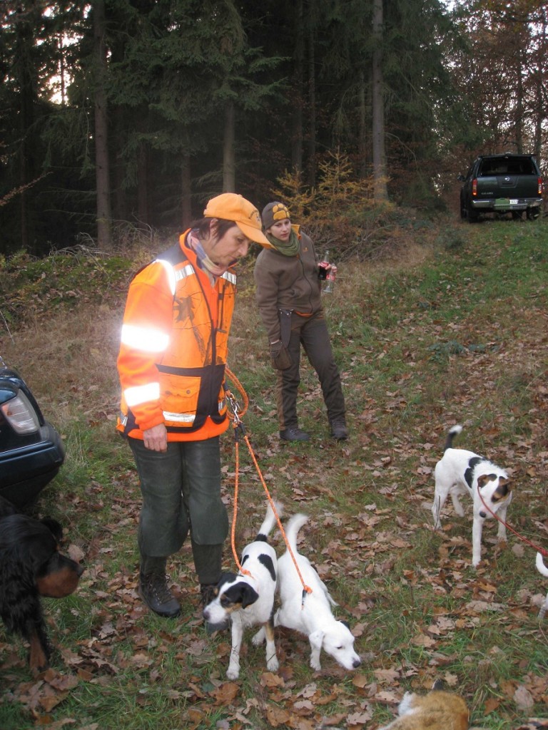 Jagd bei Meckenheim 19.11.11
