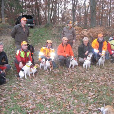 Drückjagd bei Meckenheim